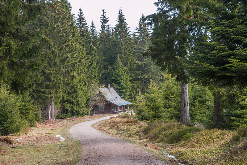 An der Saatschulhütte