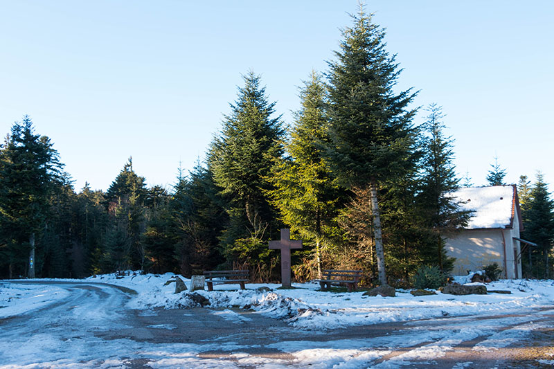 Am Pfützenhäusle, Erinnerung an den Sturm Lothar