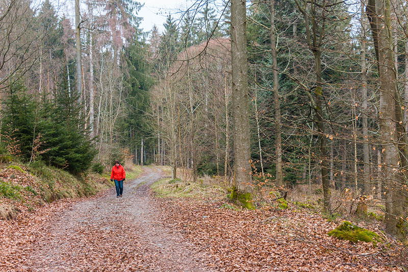 Nach dem ersten Aufstieg ...