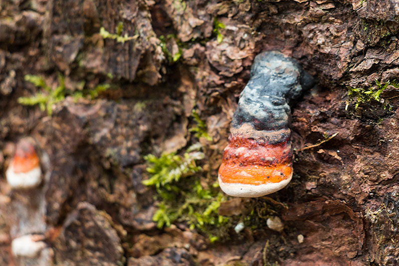 ... und winzige Pendants