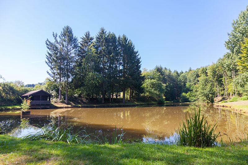 Und schon kommt der nächste Weiher