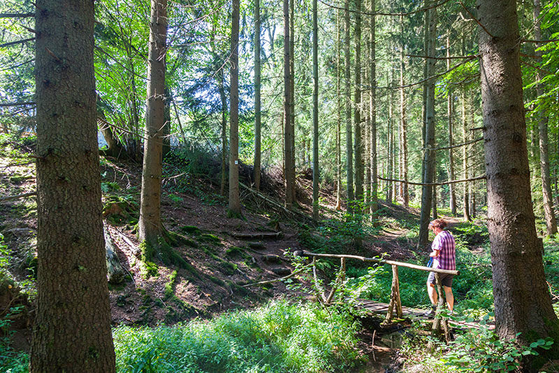 Brückchen und Anstiege wechseln sich ab