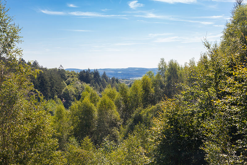 ... für einen weiten Blick