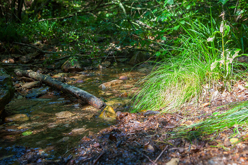 Wasser gibt es auf dieser Tour ...