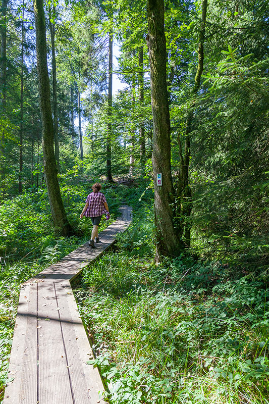 Schnellen Schrittes hängen wir die "Verfolger" ab ;-)