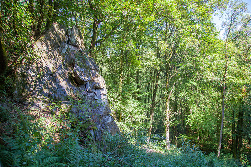 Die nächste Felsformation