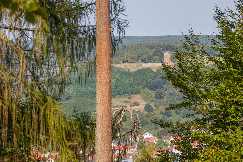 Blick auf die Siersburg