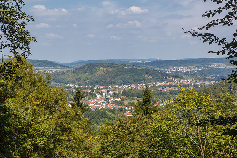 Blick über Siersburg