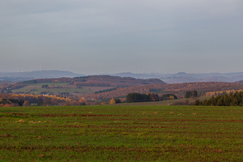 ... prägen hier das Landschaftsbild