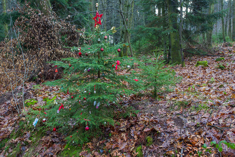 Ohne Schnee ist Weihnachten nicht mal halb so schön