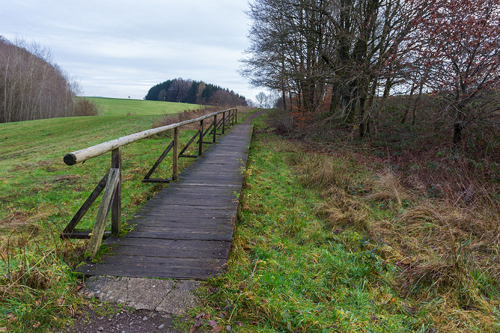 Steg über sumpfiges Gelände