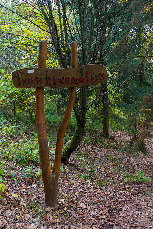 Am Froschparadies ...