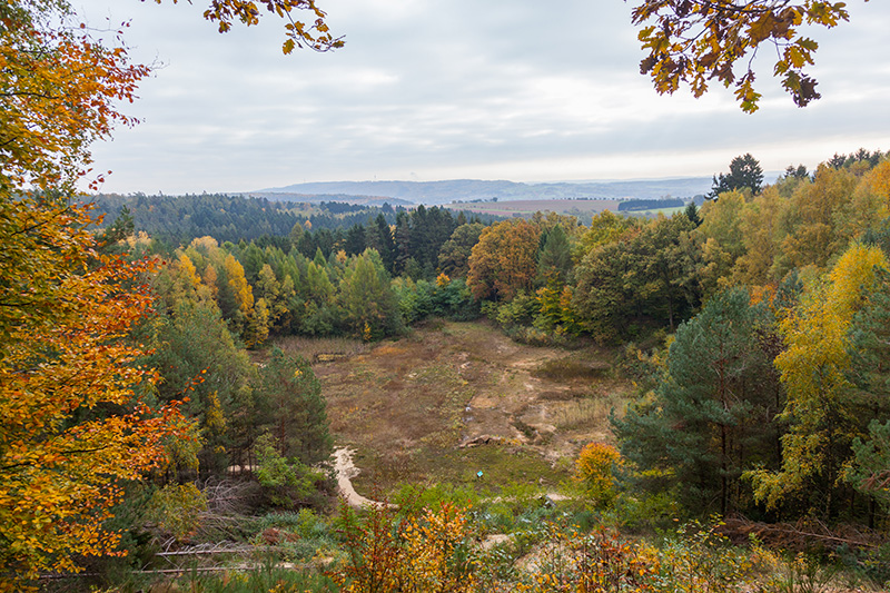 Blick über das Froschparadies (Weiher und Trockengebiete)