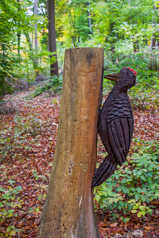 Da klopft der Specht