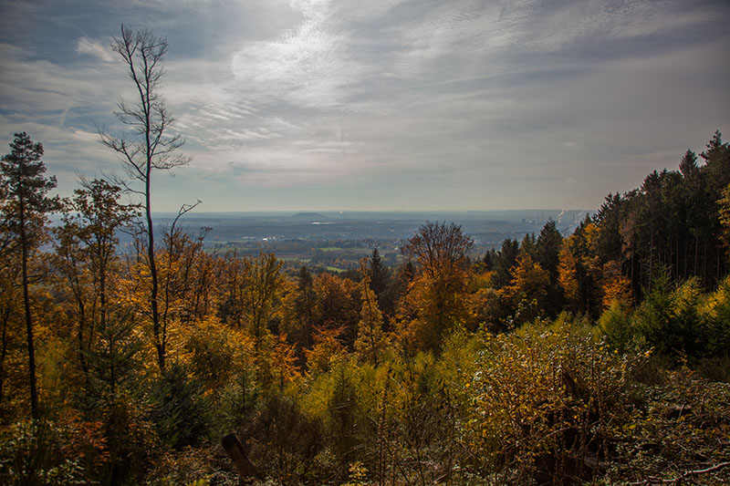 Blick über die Ebene ...