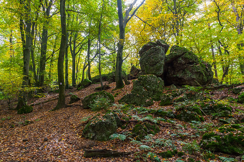 Keltische Kultstätte
