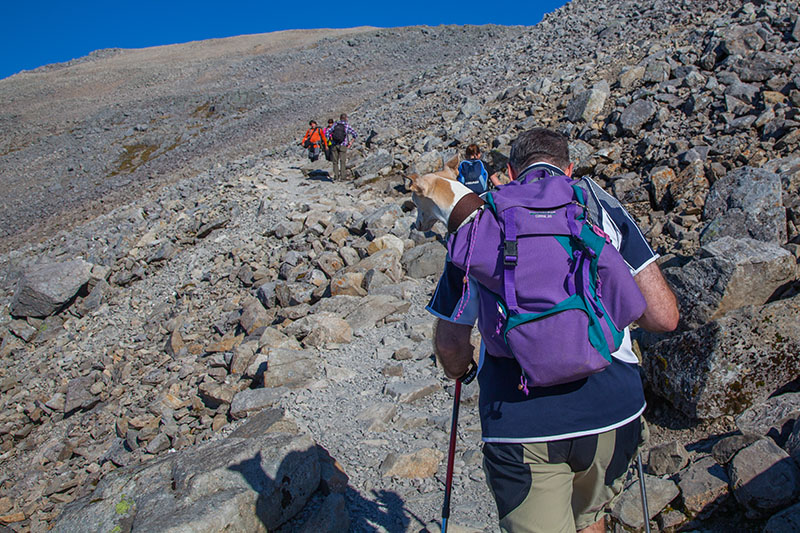 Der Hund im Rucksack hat es gut ;-)