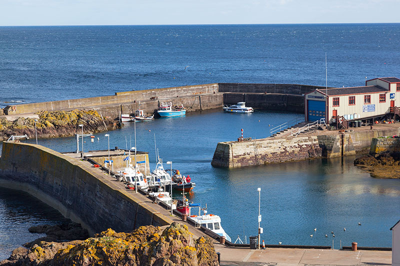 Der Hafen von St. Abbs