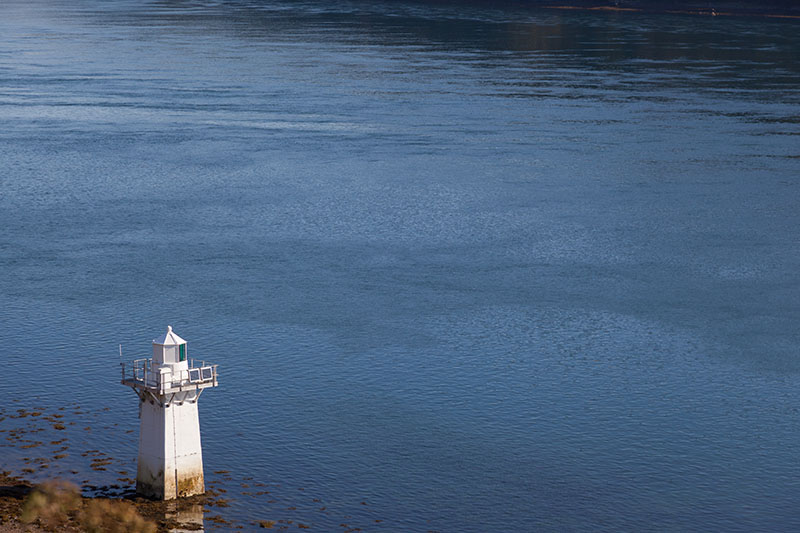 Wo bleiben die Otter?