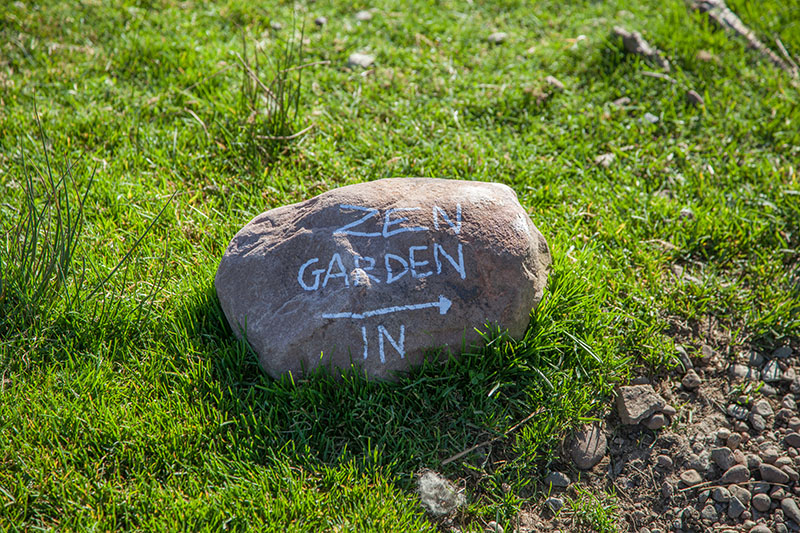 Da waren wir überrascht ...