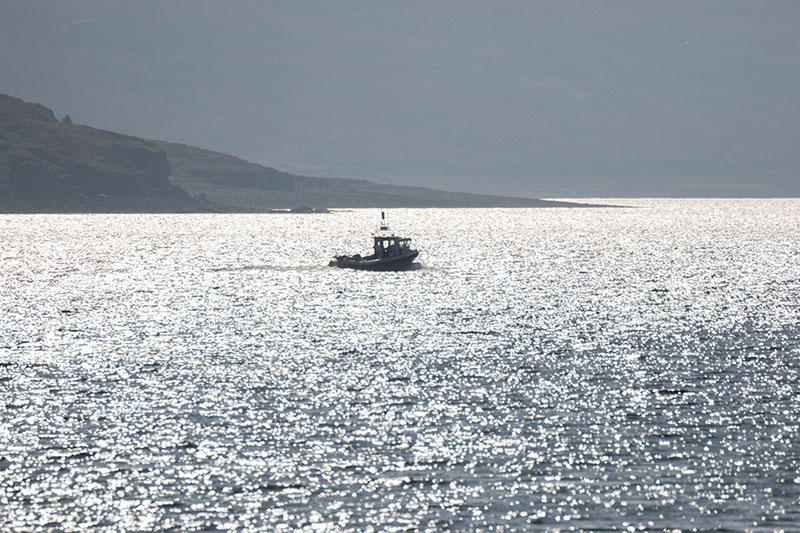 Neben kleinen Booten ...