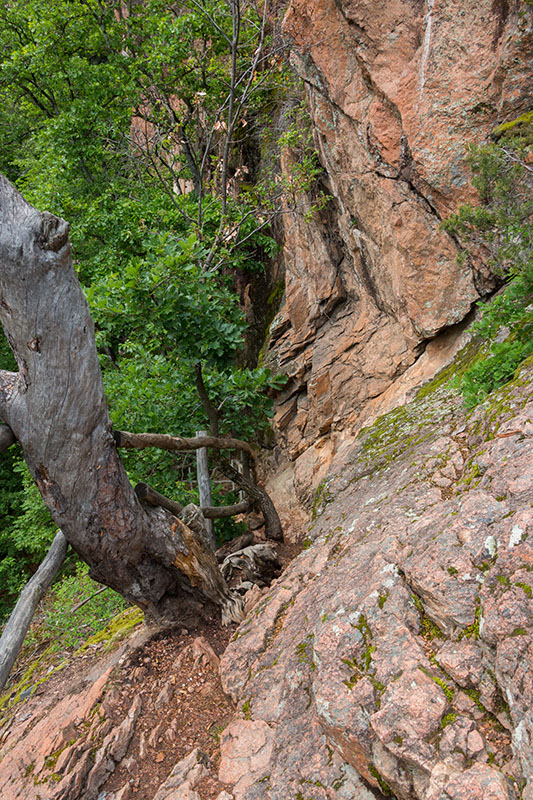Das ist der Weg nach unten