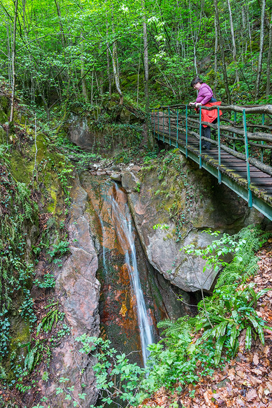 Brücken und Wasserfällchen gibt es reichlich