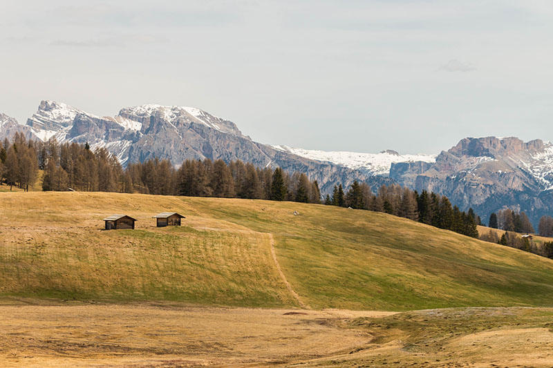 Wenn das Wetter jetzt noch etwas besser wäre ...