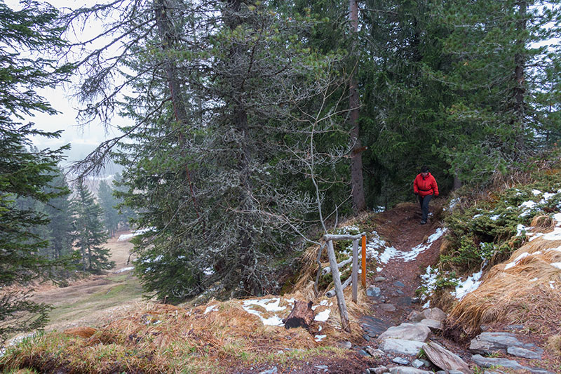 Der Beginn des Weges war steil und schmal