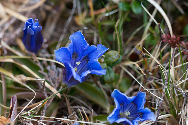 ... trotzen Wind und Wetter