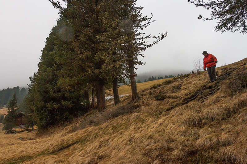 Nun aber schnell zurück ...