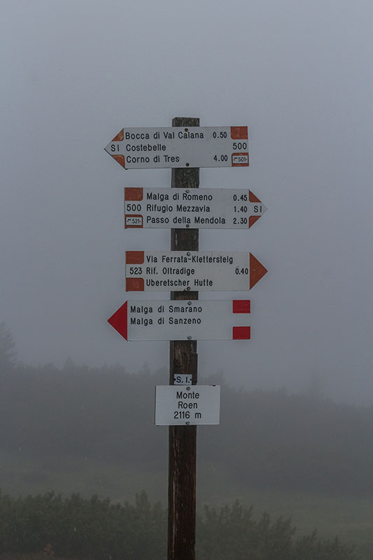 Nun geht es wieder zum Mendelpass zurück