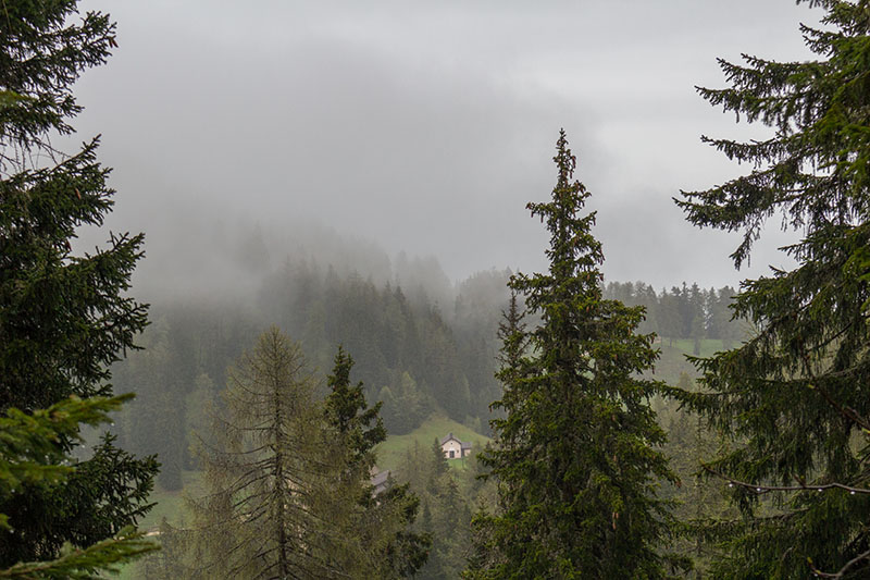 Malga Romeno in Sicht
