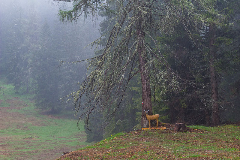 Da steht das hölzerne Viech