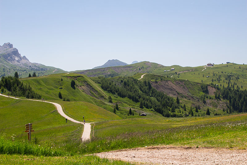... und genießt die Aussicht ...