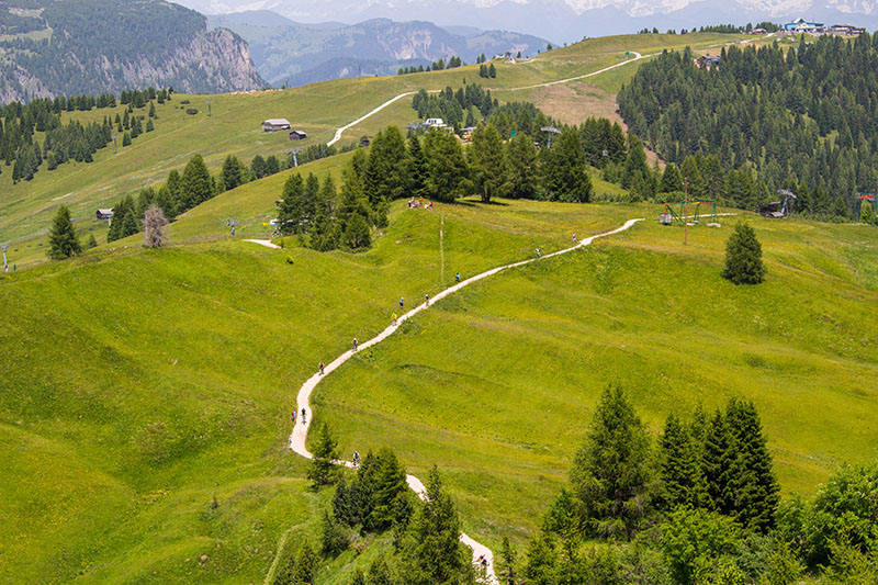 Eine Gruppe Mountainbiker auf dem Weg