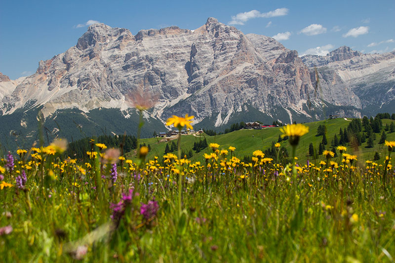 ... und die Berge aus der Käferperspektive betrachten