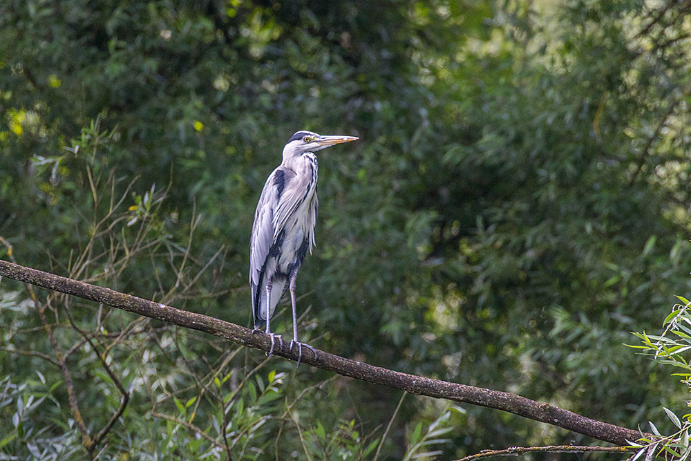 Endlich bleibt einer ruhig sitzen