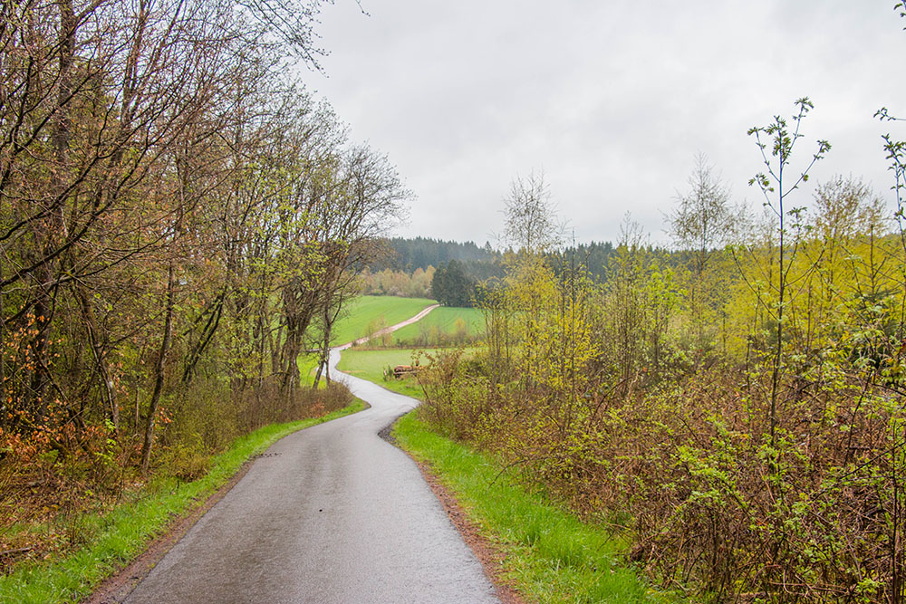 Das Wetter war leider suboptimal, besonders für die lange Strecke