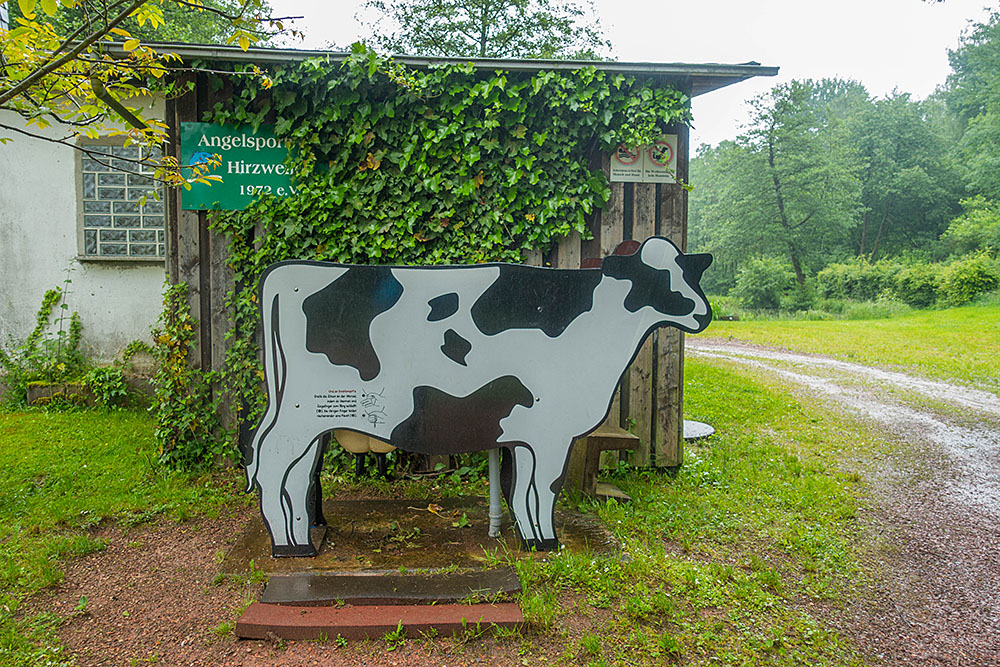 Zeit um sich das Melken etwas näher zu bringen ...