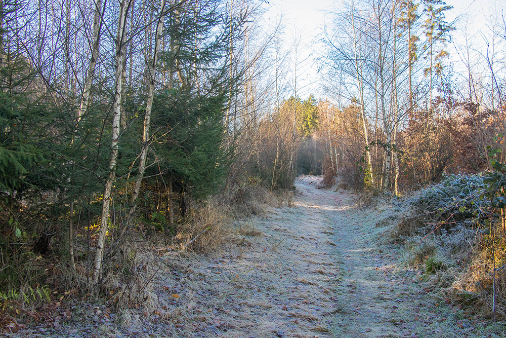 In Schattenbereichen ... 