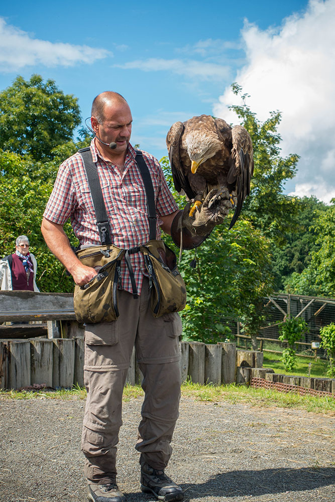 Adler mit Herrchen ;-)