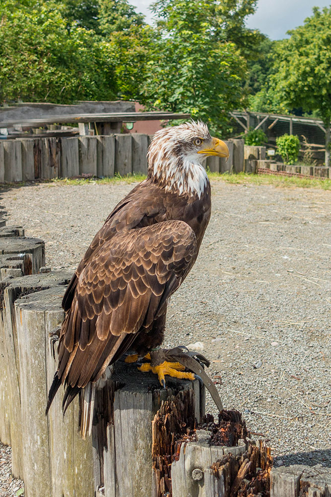 Wann gibt es was zu fressen?