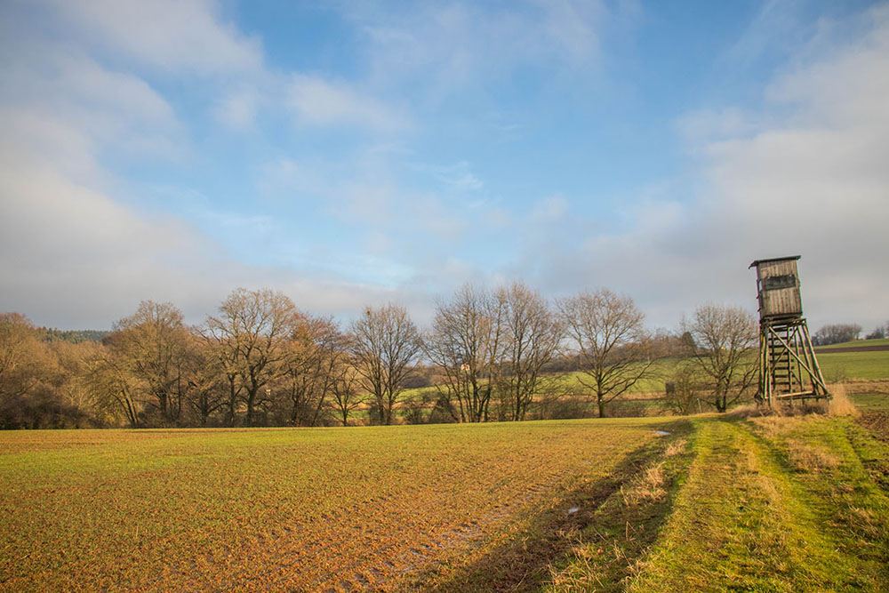 Am Ende der Wanderung klarte es auf 