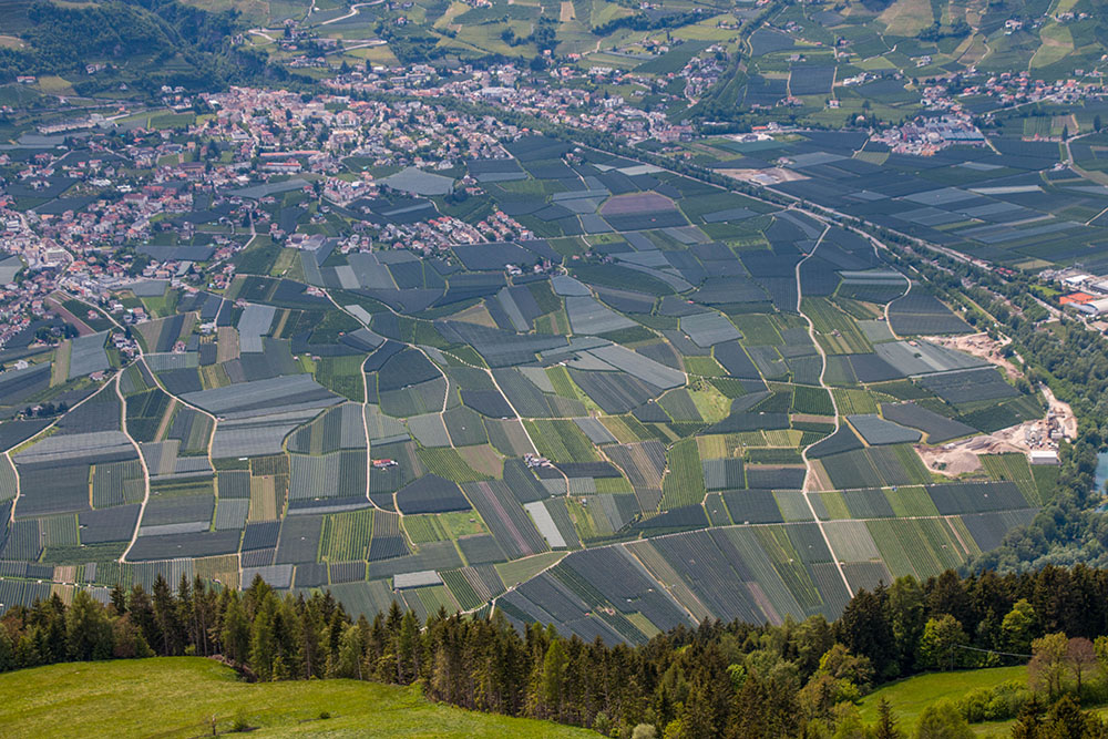 Blick über Lana ...
