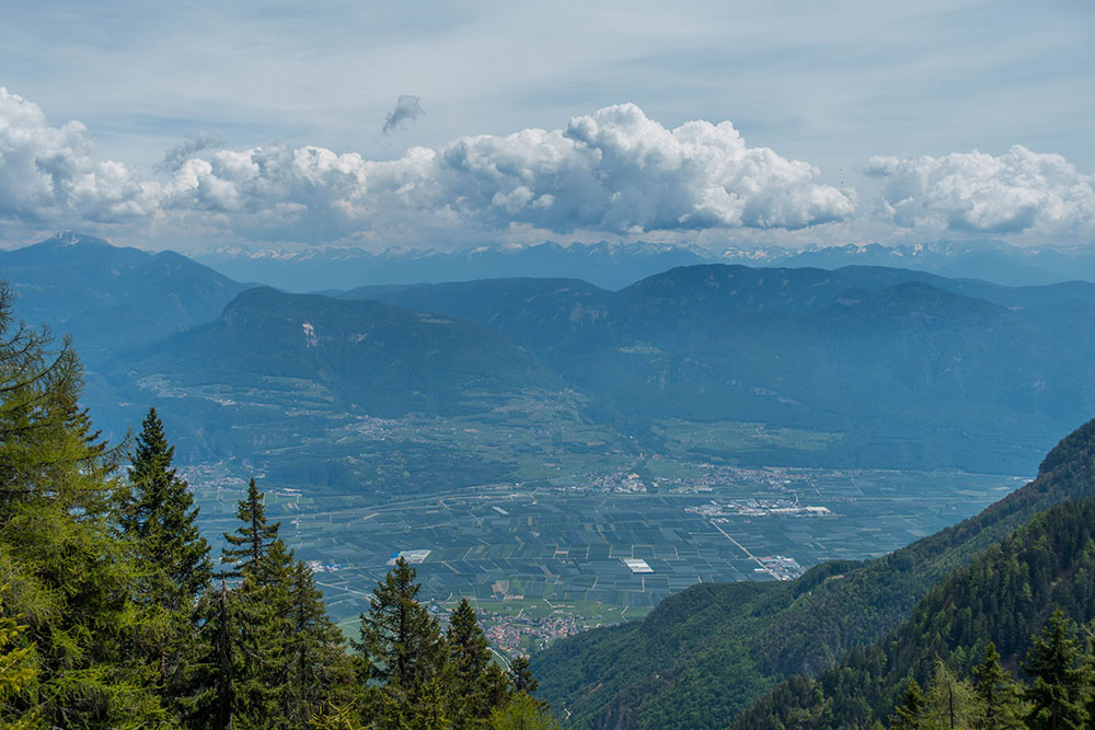 Blick über das Etschtal