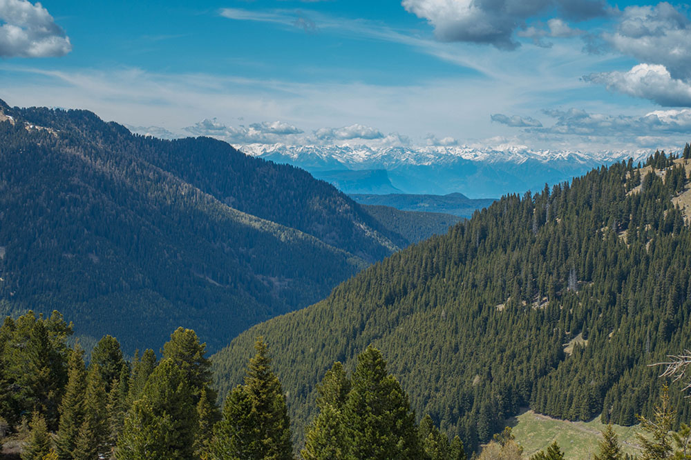 Blick auf die Dolomiten
