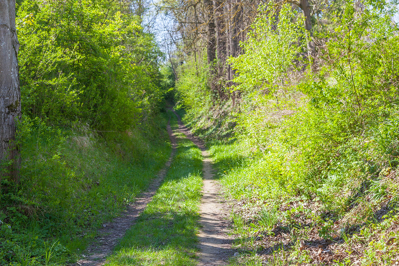 Schon bald haben wir den ersten Hohlweg erreicht 