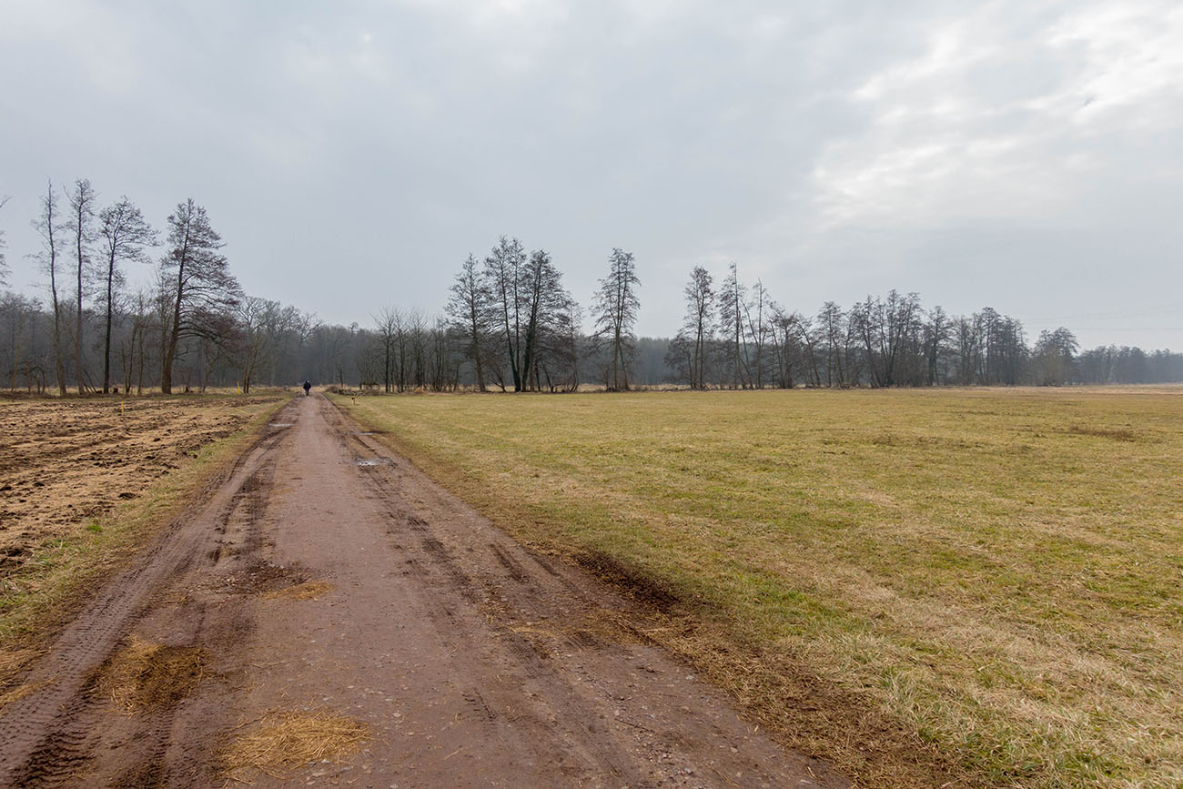 Suboptimales Wetter, kalt und feucht 