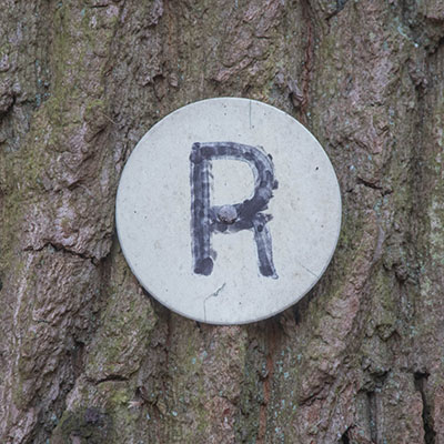 Kennzeichnung des Rottenbachwegs 